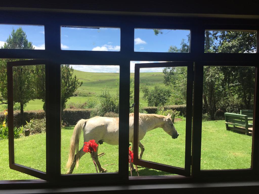 Khotso Lodge & Horse Trails Underberg Exterior photo